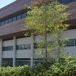 Darla Moore School of Business