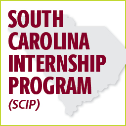 outline of the state of south carolina