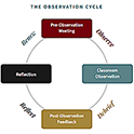 Classroom Observation Graphic