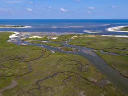 An aerial view of salt marsh creeks and ocean