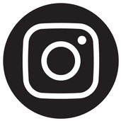 Instagram Logo link