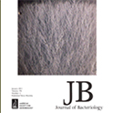 jbact