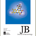 jbact