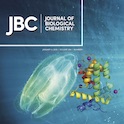 jbc 2019