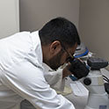 Ricky Dash looking into microscope