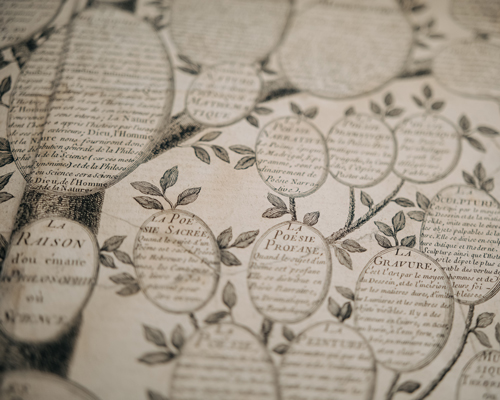 Genealogical family tree from The Tree of Knowledge