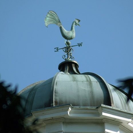 Weather vane