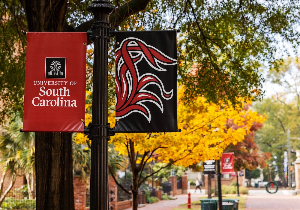 garnet sign reading university of south carolina next to black sign with garnet tailfeathers